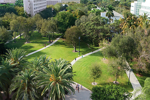 This is an overhead view of the University of Miami Coral Gables campus.