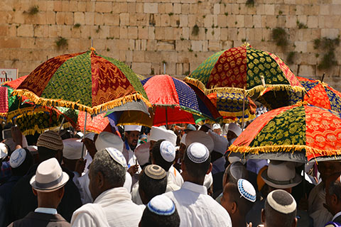 This is a stock photo. A group of Jewish people from Ethiopia praying at the Western Wall in Jerusalem. 