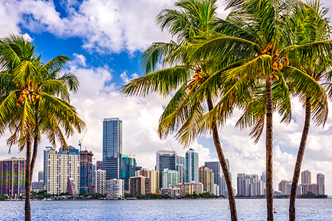 This is a stock photo. A view of the downtown Miami skyline from the beach.